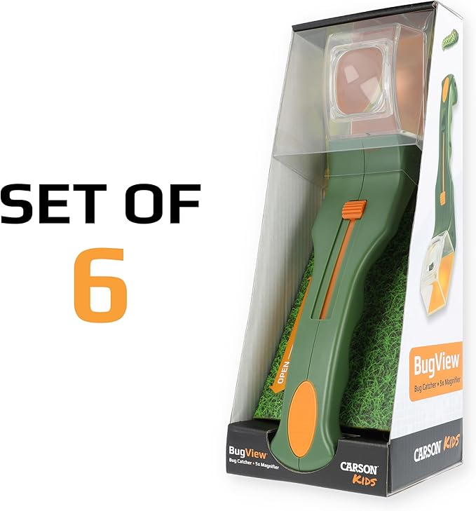 Insect-Catching Tools and Magnifying Glasses