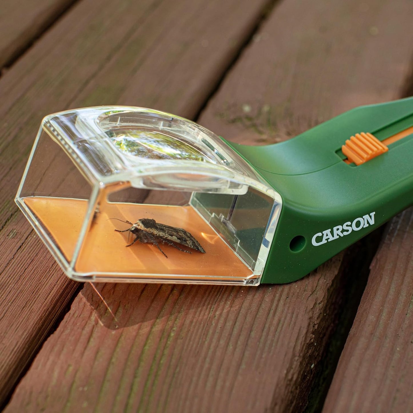 Insect-Catching Tools and Magnifying Glasses