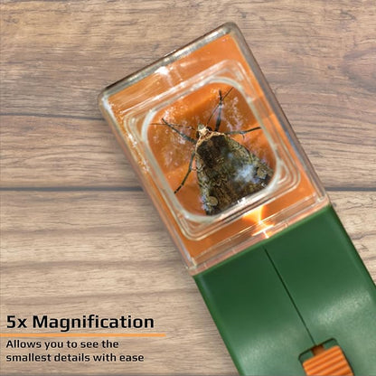 Insect-Catching Tools and Magnifying Glasses