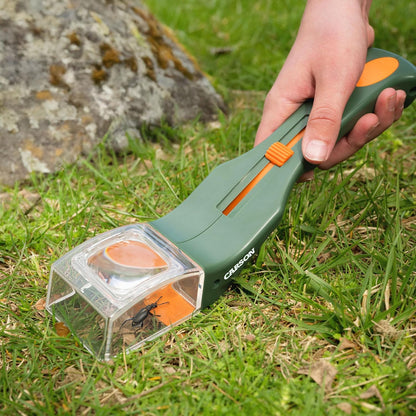 Insect-Catching Tools and Magnifying Glasses