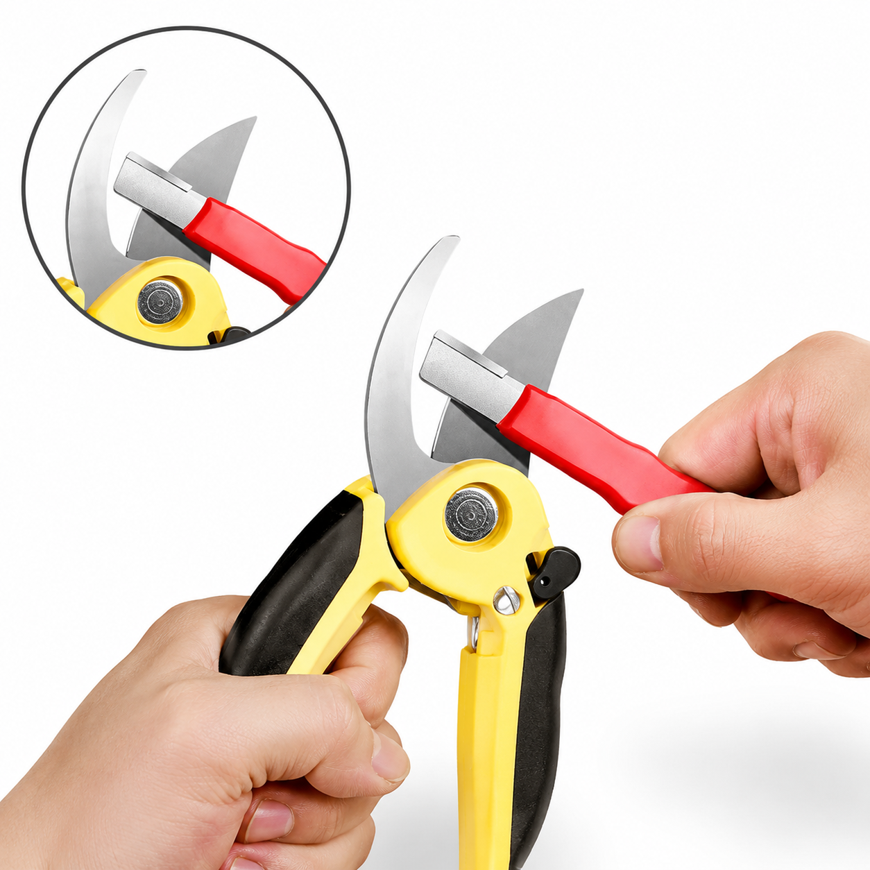 Fully Automatic Multi-Function Knife Sharpener